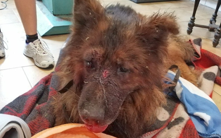 Zbiórka TOY-czy kiedyś poznamy prawdę? - zdjęcie główne