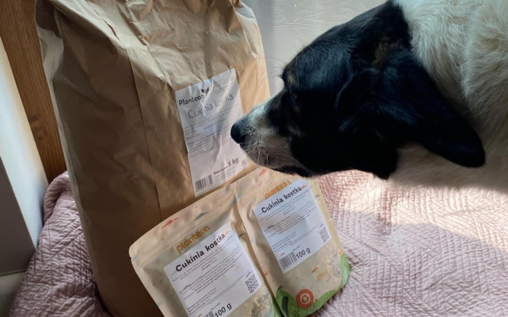 Pies wącha paczkę z jedzeniem dla zwierząt.