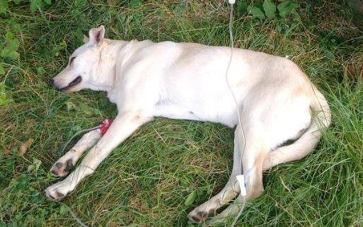 Zbiórka Śmierć przychodzi popołudniem - zdjęcie główne