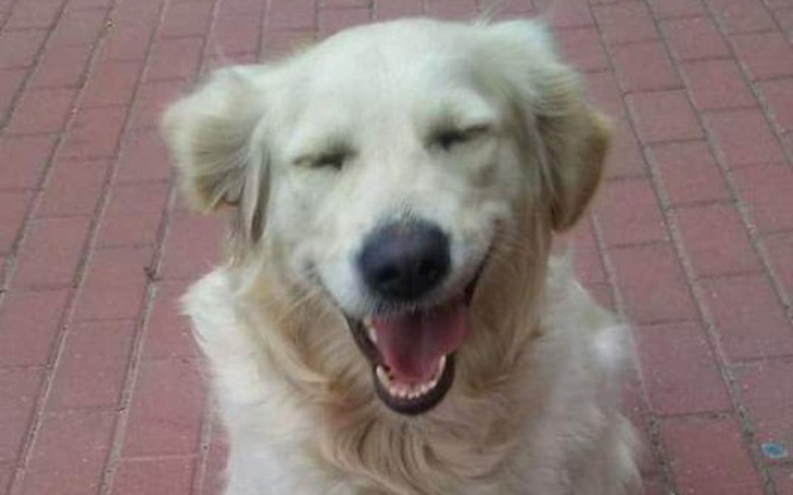 Zbiórka Pomóżmy jej być nadal szczęśliwą - zdjęcie główne