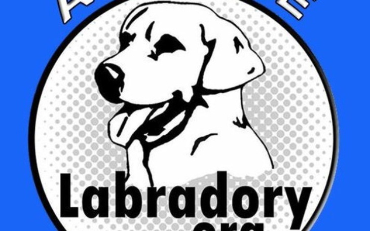 Zbiórka adopcje.labradory.org - zdjęcie główne