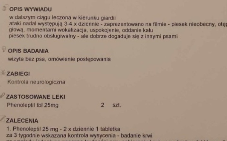 Dokument medyczny dotyczący psa z opisem badań.