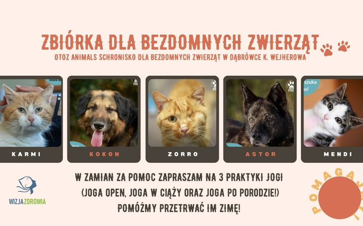 Zbiórka Zbiórka i joga dla zwierzaków - zdjęcie główne