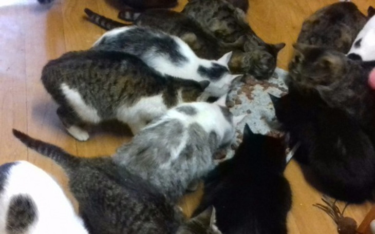 Zbiórka Jedzonko i srodki czystości - zdjęcie główne