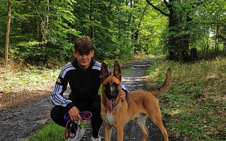 Młody chłopak z psem na spacerze w lesie.