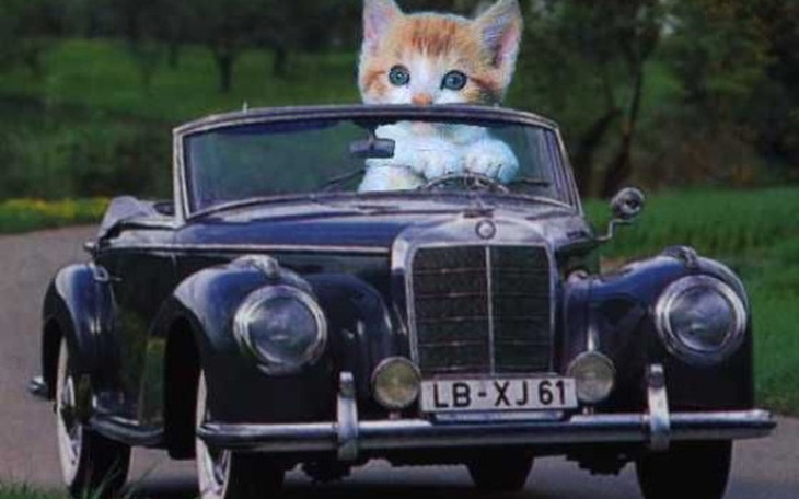 Zbiórka Ja też chcę samochód! - zdjęcie główne