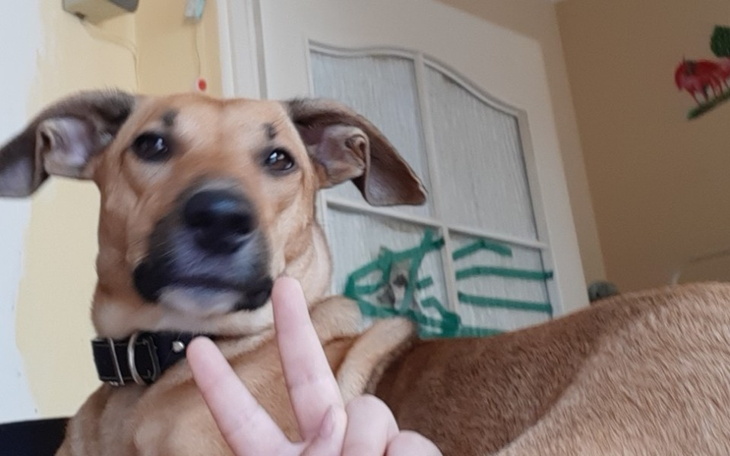 Zbiórka Na telefonik - zdjęcie główne