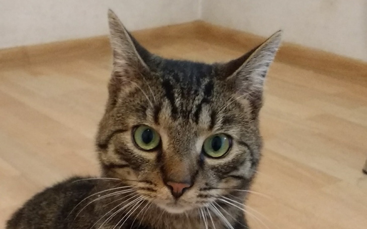 Zbiórka Pomoc dla osoby o ogromnym sercu - zdjęcie główne