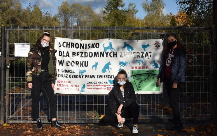 Zbiórka Leki i wyposażenie schroniska - zdjęcie główne