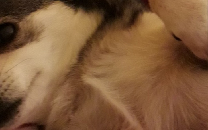 Zbiórka na leczenie guza - zdjęcie główne