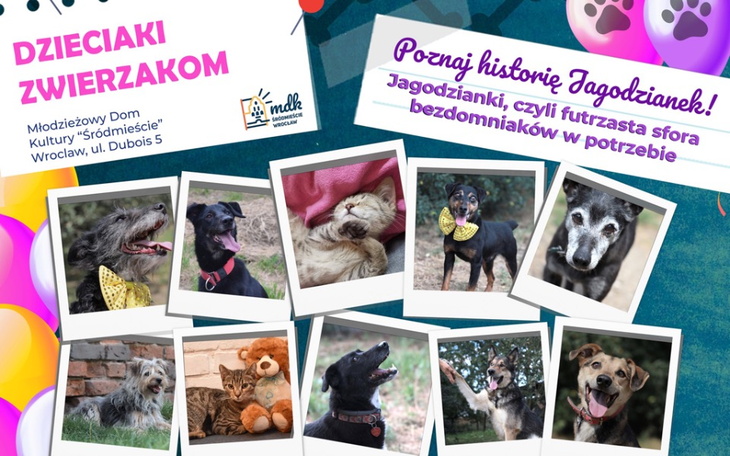 Zbiórka Dzieciaki Zwierzakom 2020 - zdjęcie główne