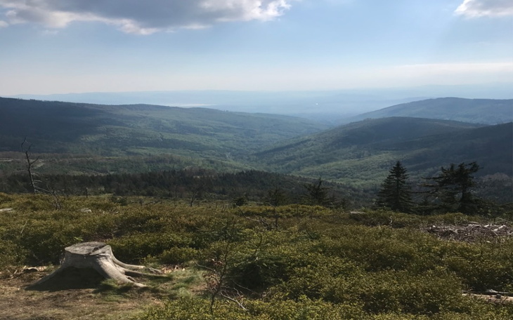 Zbiórka Pokój marzeń sportowca - zdjęcie główne