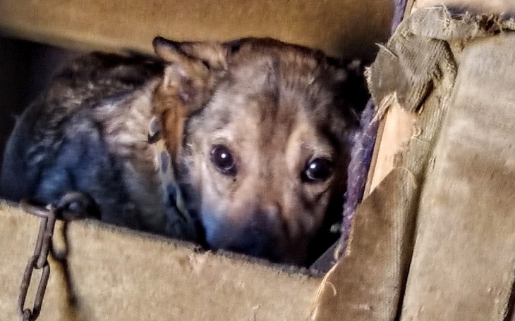 Zbiórka Lordi - bity rurą szkielet - zdjęcie główne