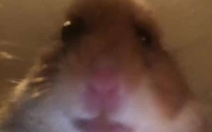 Zbiórka Jak dasz to bede sie cieszył - zdjęcie główne