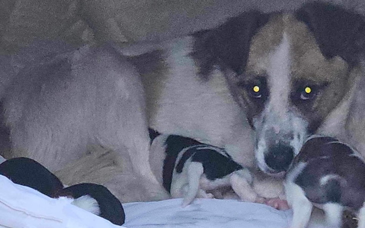 Zbiórka Sami nie poproszą o pomoc - zdjęcie główne