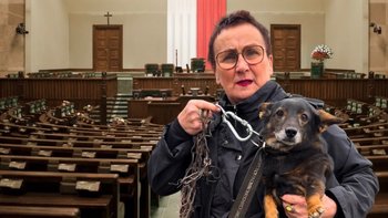 Zbiórka 60 urodziny Krystyny - miniaturka zdjęcia