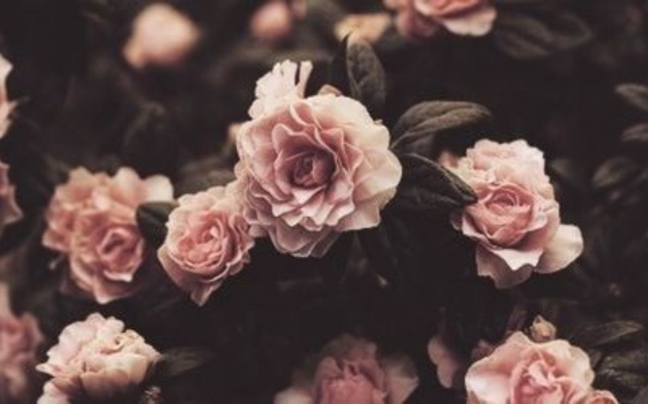 Zbiórka Zbieram na start do marzeń - zdjęcie główne