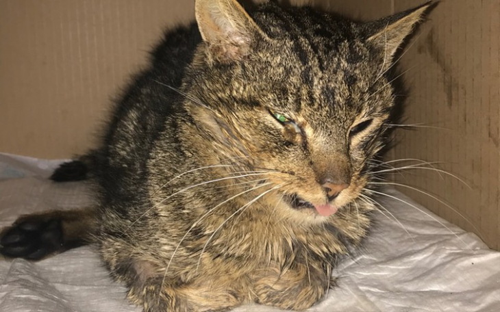 Zbiórka Pomoc dla Marcela - zdjęcie główne