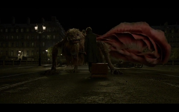 Zbiórka Na kiciusia - zdjęcie główne