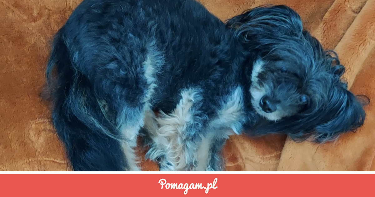 Pomuz Zrzutka na Pomóż Sandrze. - ADRIANA MAKOWSKA | Pomagam.pl