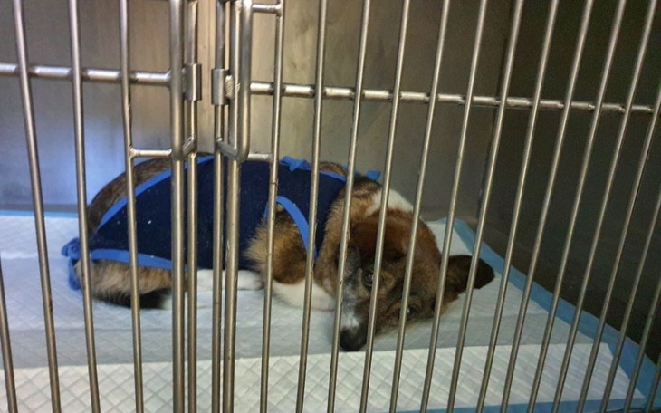 Zbiórka Malutka MANIA prosi o wsparcie - zdjęcie główne