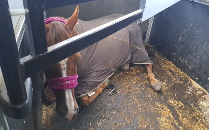 Zbiórka Konbolka - zdjęcie główne