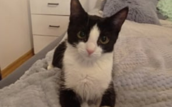 Zbiórka Proszę, pomóż mi przeżyć.. - zdjęcie główne