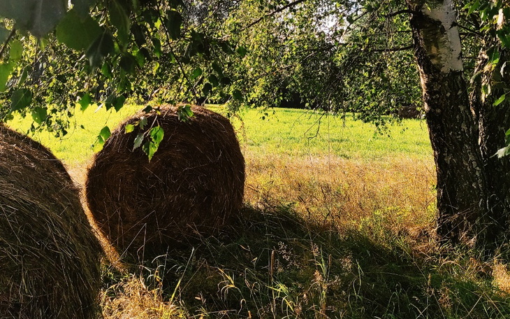 Zbiórka Na spokojne miejsce na ziemi - zdjęcie główne