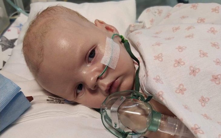 Zbiórka Leczenie Olafka z HLHS - zdjęcie główne