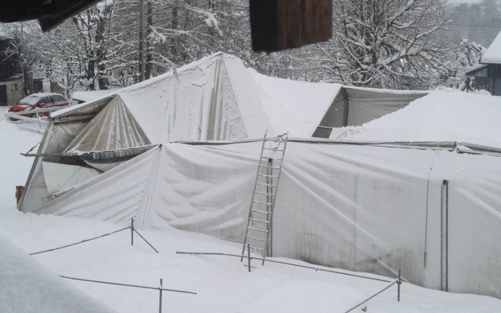 Zbiórka katastrofa w fundacji dla koni - zdjęcie główne