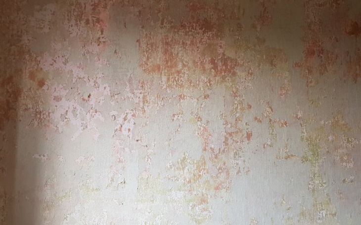 Zbiórka Remont+domu - zdjęcie główne