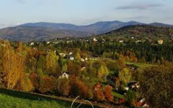 Zbiórka Pomoc by wynajmie mieszkania - zdjęcie główne