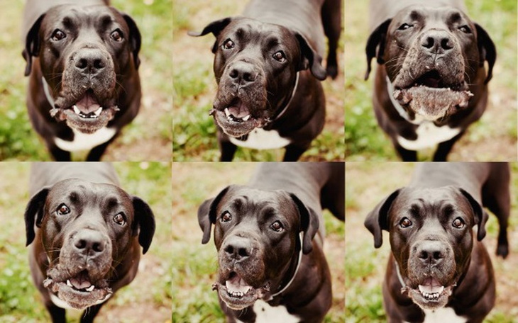 Zbiórka Dla Zośki - zdjęcie główne