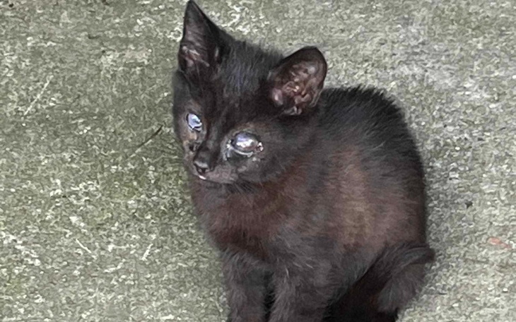 Zbiórka Na operację Jasia - zdjęcie główne