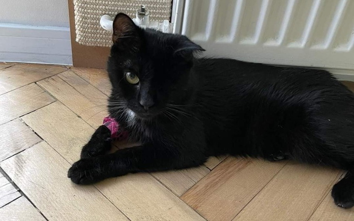 Zbiórka Dla pięknego Brzydalka - zdjęcie główne