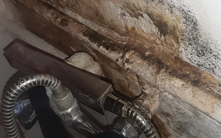 Zbiórka Dom Ciepła i Miłości - zdjęcie główne