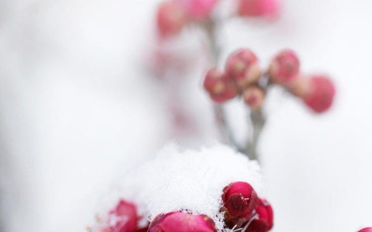 Zbiórka Pomoc dla innych - zdjęcie główne