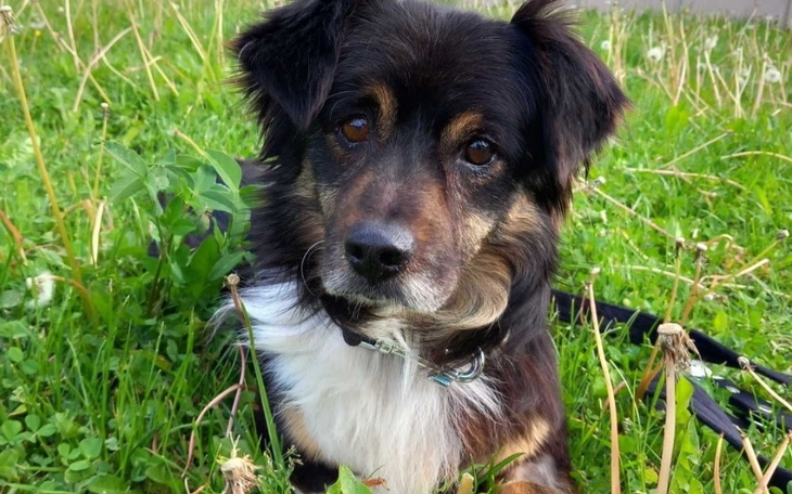 Zbiórka Na leczenie kajtka - zdjęcie główne