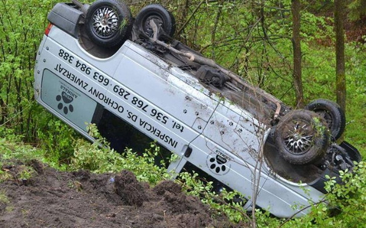 Zbiórka Auto interwencyjne OTOZ Animals - zdjęcie główne