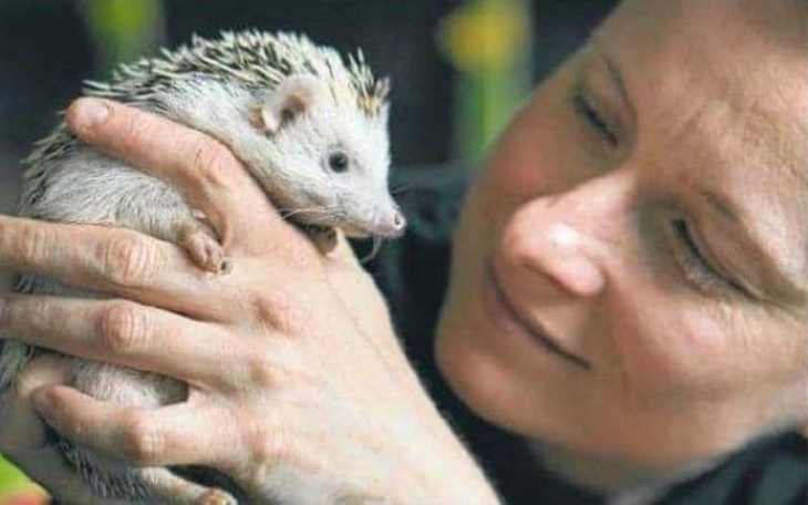 Zbiórka JUSTJEŻ - dobro powraca - zdjęcie główne