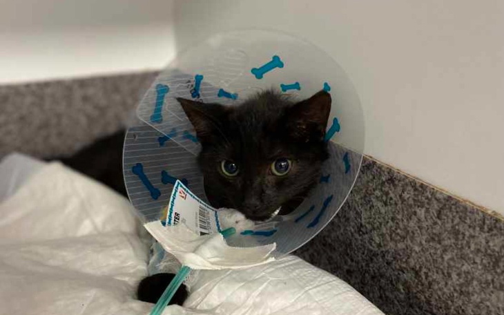 Zbiórka Ostatni oddech... - zdjęcie główne