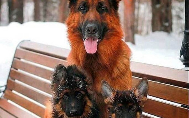 Zbiórka Na spokojny żywot - zdjęcie główne