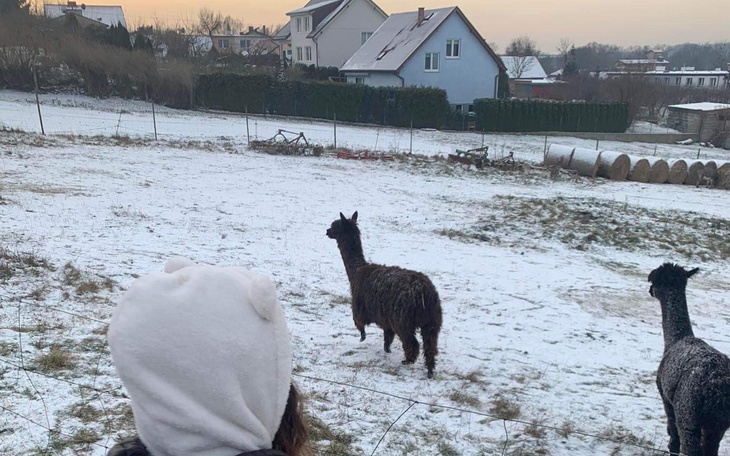 Zbiórka Na wakacje w górach - zdjęcie główne