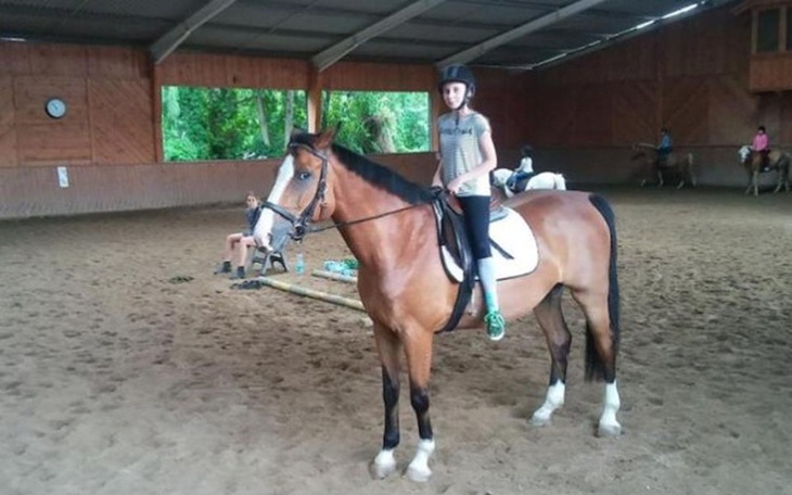 Zbiórka ferie w siodle-Moje marzenie - zdjęcie główne