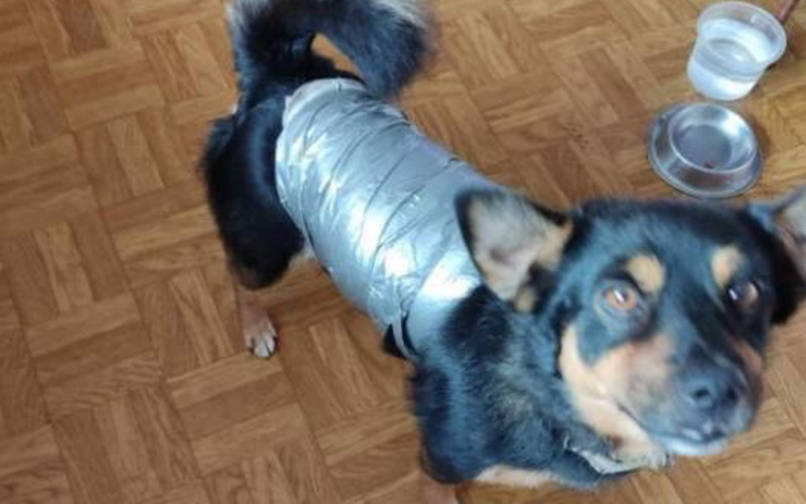 Zbiórka Był workiem treningowym - zdjęcie główne