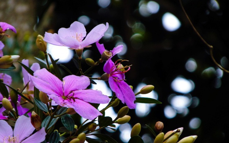 Zbiórka Na początek lepszego życia - zdjęcie główne