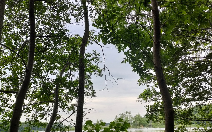 Zbiórka Zbiórka na wakacje dla dzieci. - zdjęcie główne