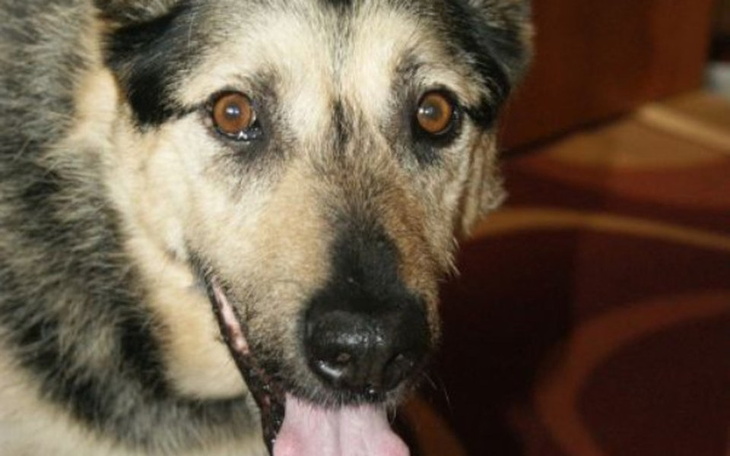 Zbiórka dla Moresa - zdjęcie główne