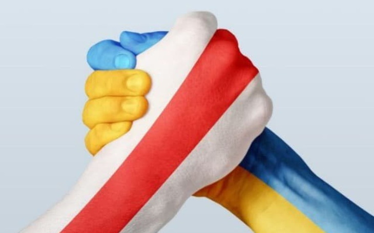 Zbiórka Fundacja Żyvi FreeShop - zdjęcie główne