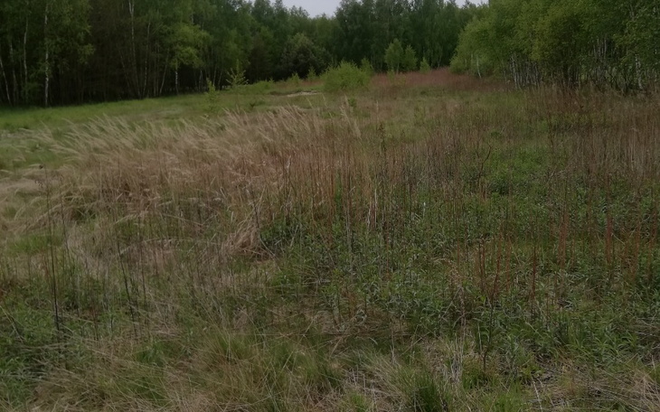 Zbiórka Operacja stożka rogówki - zdjęcie główne